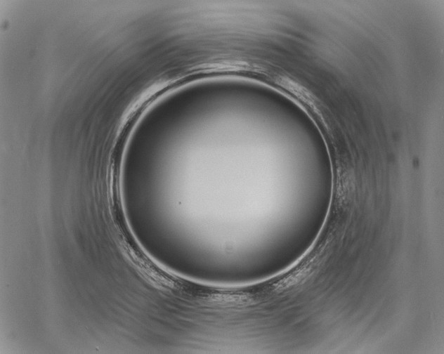 X0000061731179200512091537