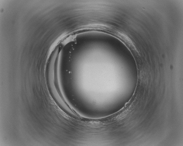 X0000061731180200512091537