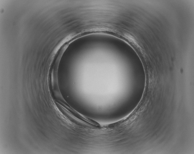 X0000061731181200512091537