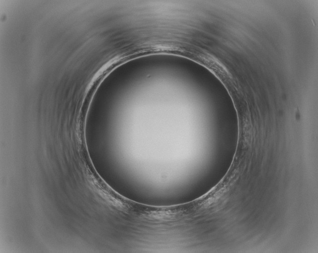 X0000061731182200512091537