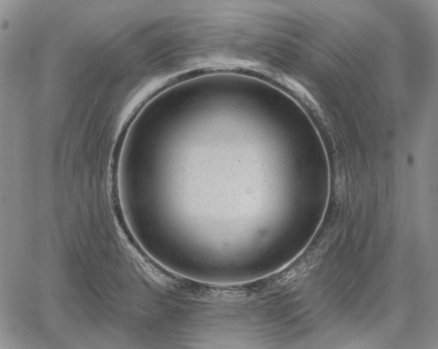 X0000061731183200512091537