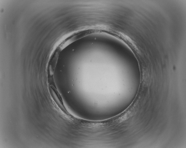 X0000061731184200512091537