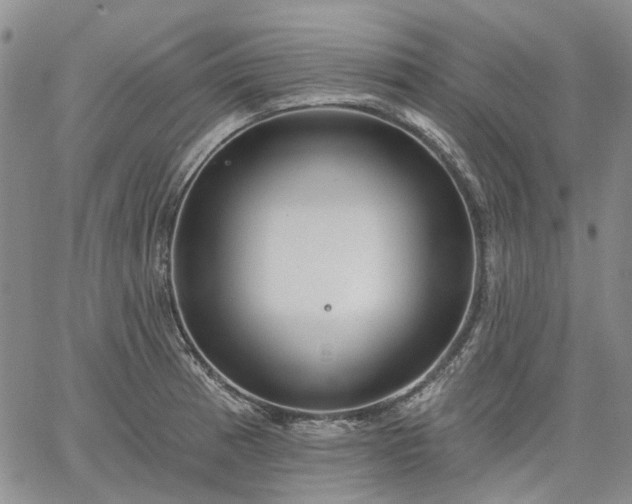 X0000061731185200512091537