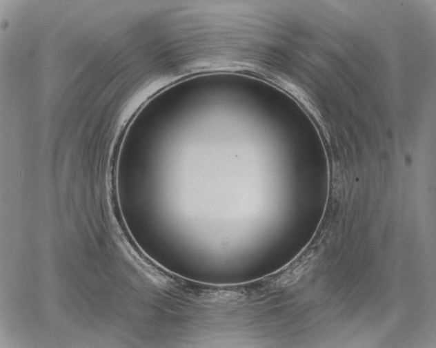 X0000061731187200512091537