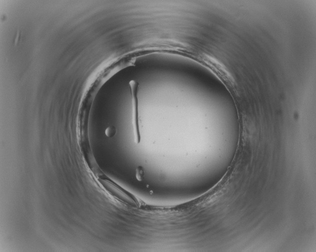 X0000061731188200512091537