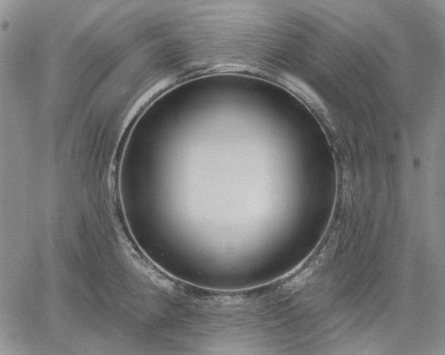 X0000061731190200512091537