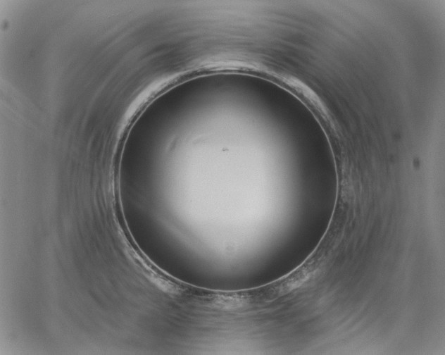 X0000061731191200512091537