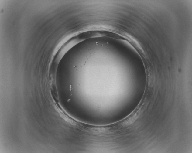 X0000061731192200512091537