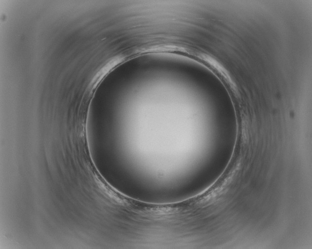 X0000061731193200512091537