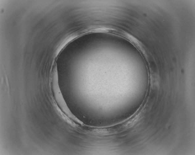 X0000061731194200512091537