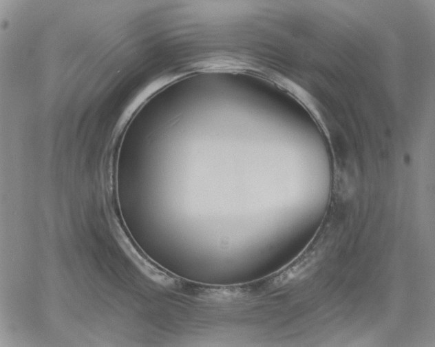 X0000061731195200512091537