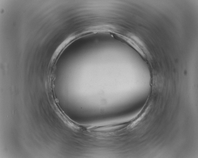 X0000061731196200512091537