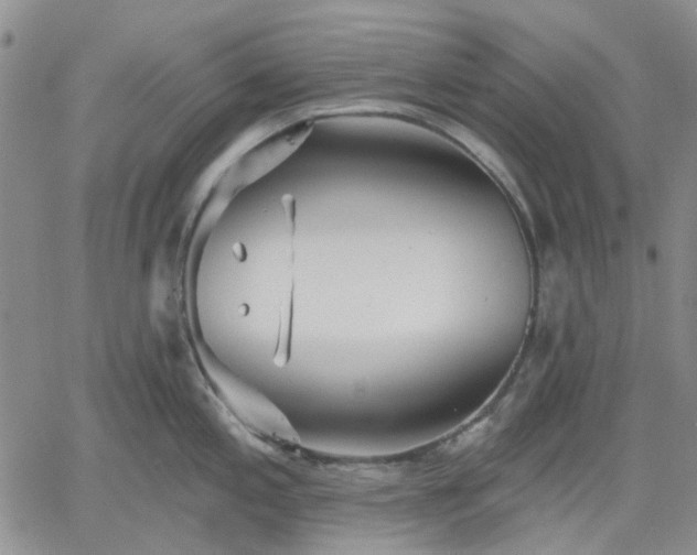 X0000061731197200512091537