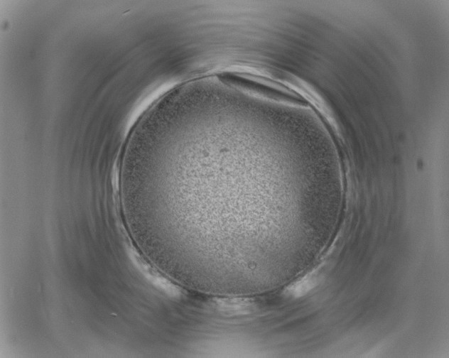 X0000061731198200512091537