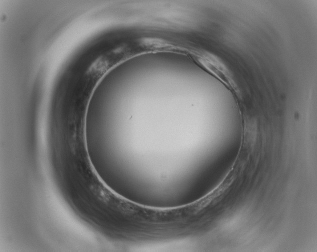 X0000061731199200512091537