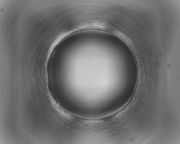 X0000061731200200512091537