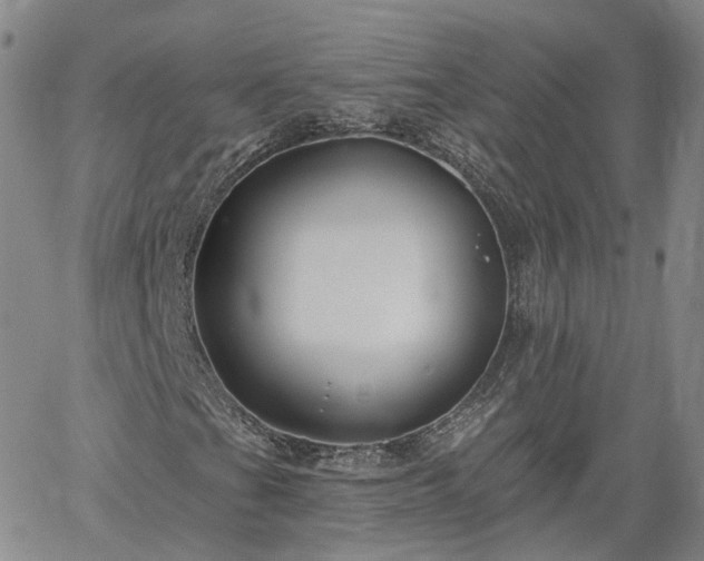 X0000061731201200512091536