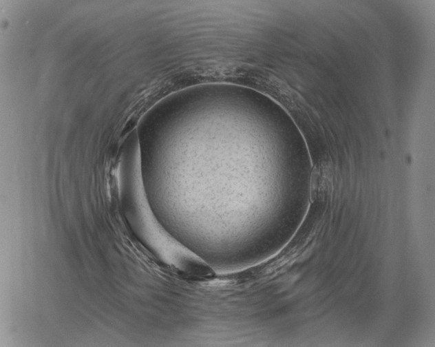 X0000061731202200512091536