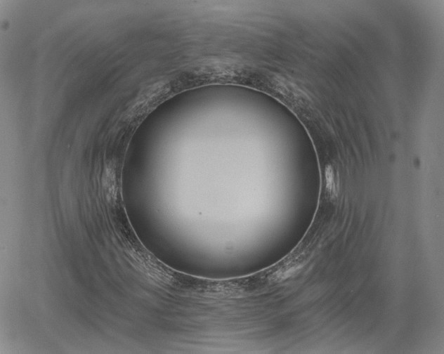 X0000061731203200512091536