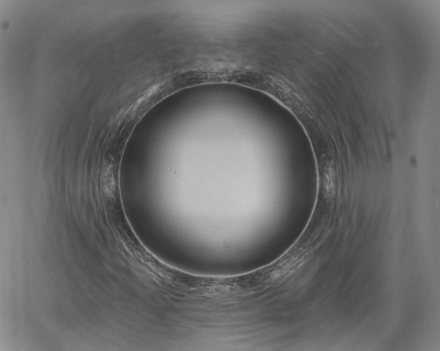 X0000061731204200512091536