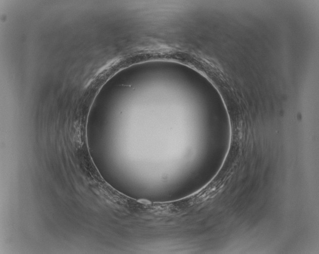 X0000061731205200512091536