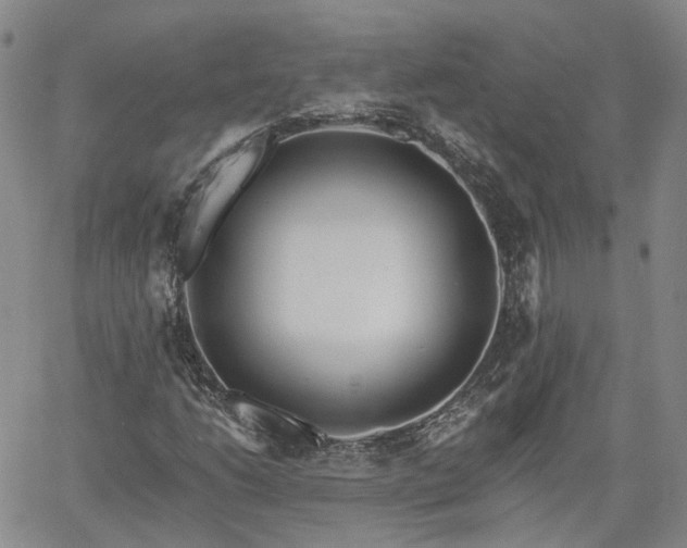 X0000061731206200512091536