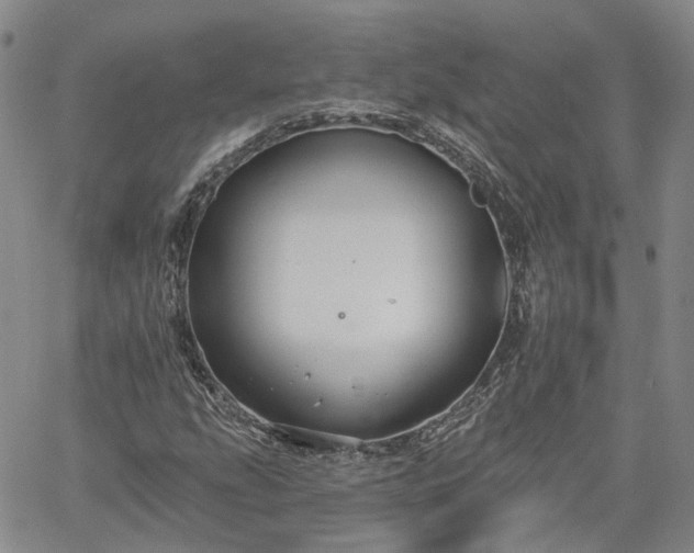 X0000061731207200512091536