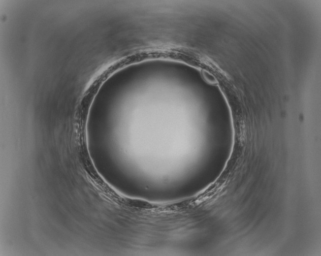 X0000061731208200512091536