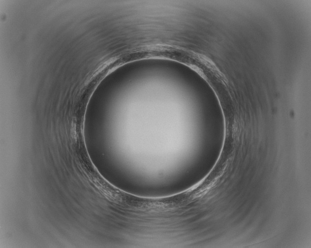 X0000061731209200512091536