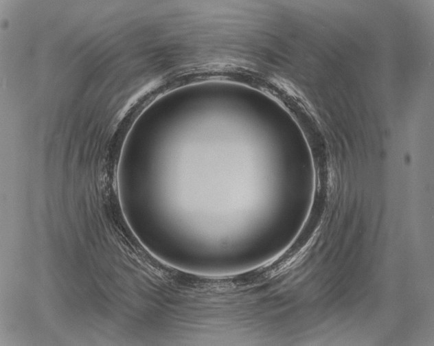 X0000061731210200512091536