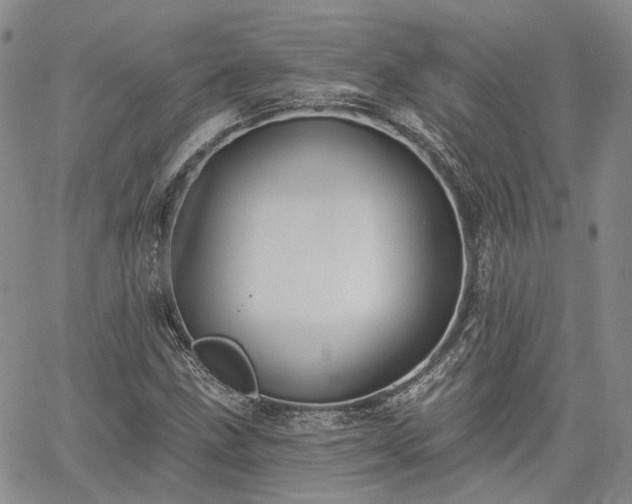 X0000061731211200512091536