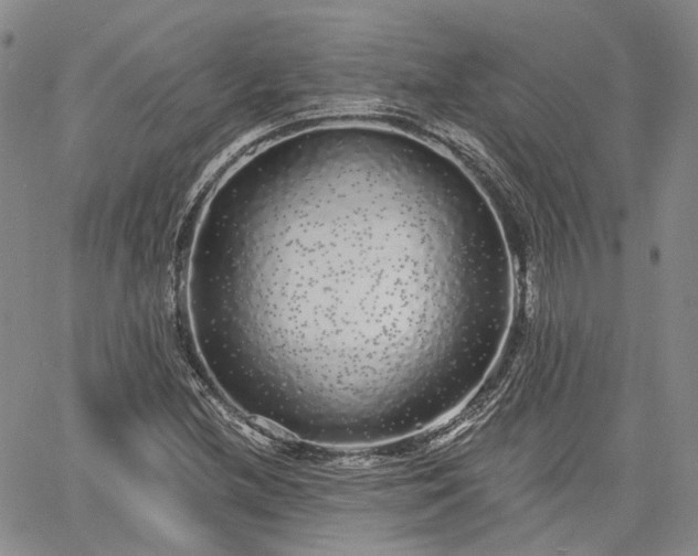 X0000061731212200512091536