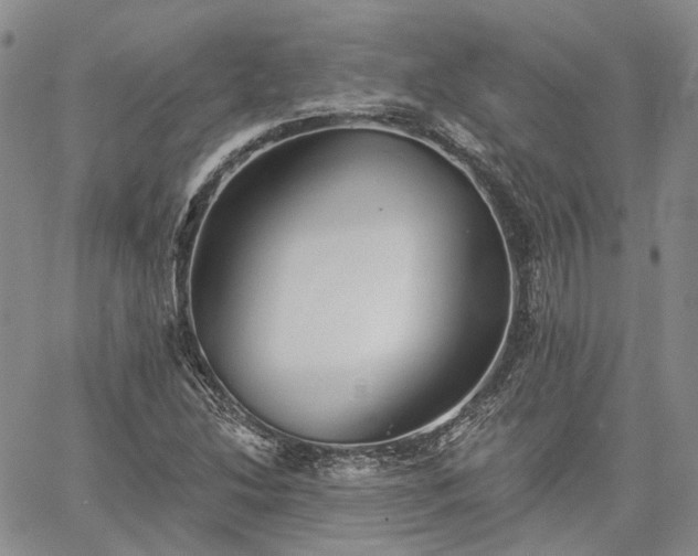 X0000061731214200512091536