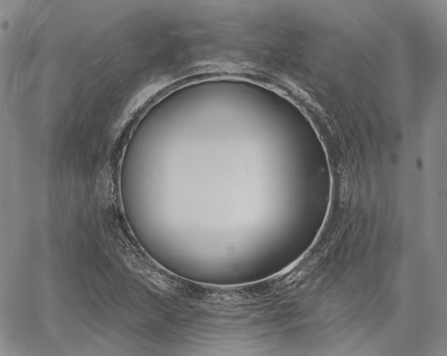 X0000061731215200512091536