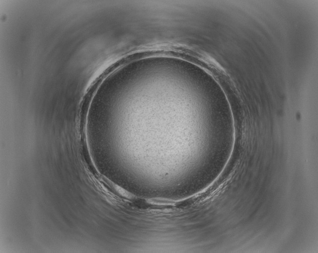 X0000061731216200512091536