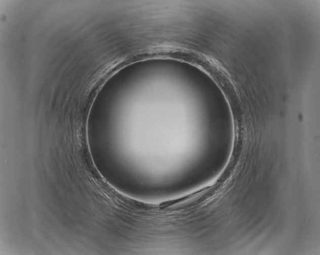 X0000061731217200512091536