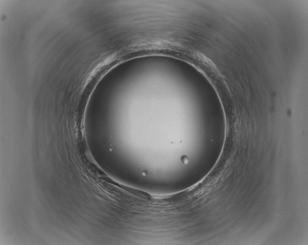 X0000061731218200512091536