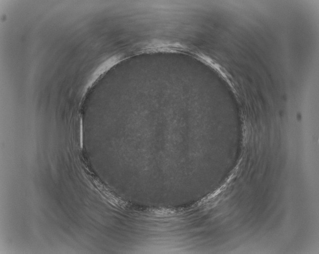 X0000061731219200512091536