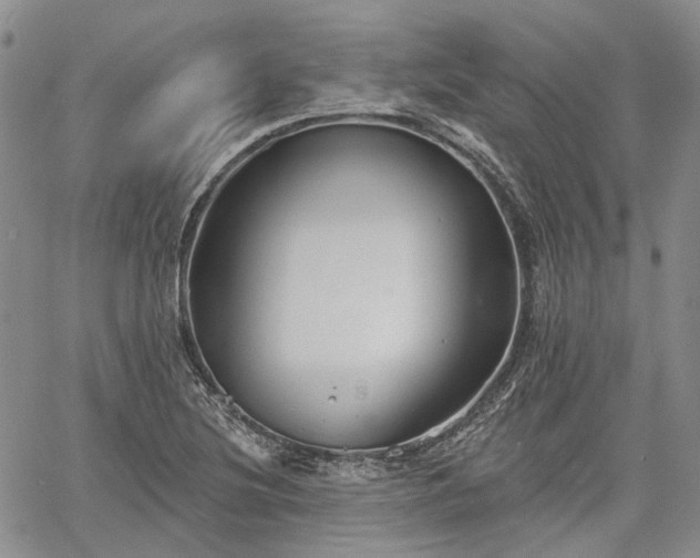 X0000061731220200512091536