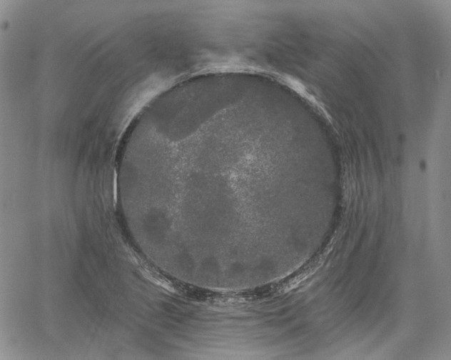 X0000061731221200512091537