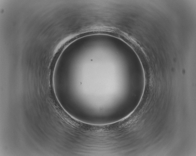 X0000061731222200512091537