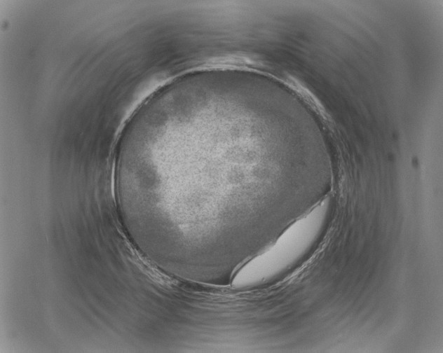 X0000061731224200512091537