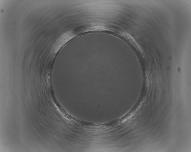 X0000061731225200512091537