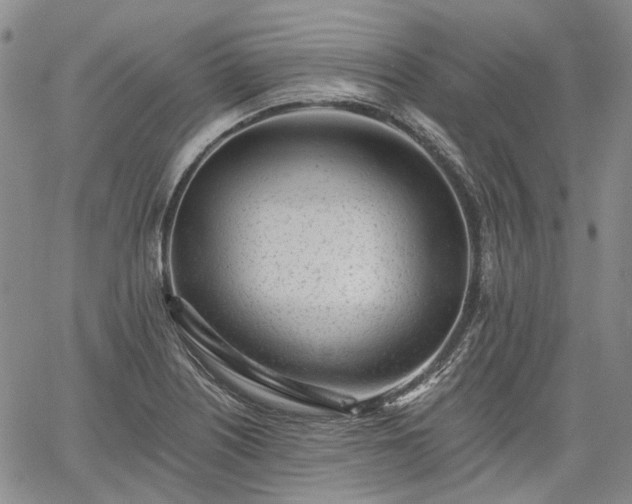 X0000061731226200512091537