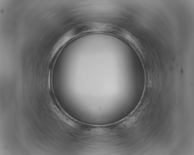 X0000061731227200512091537