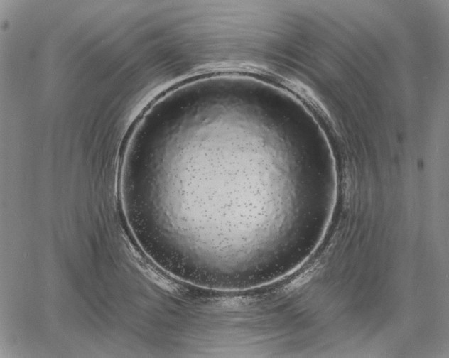 X0000061731228200512091537