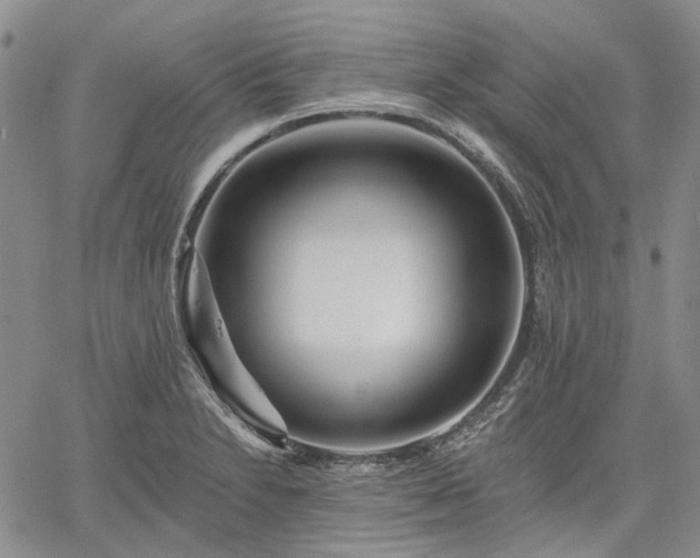 X0000061731230200512091537