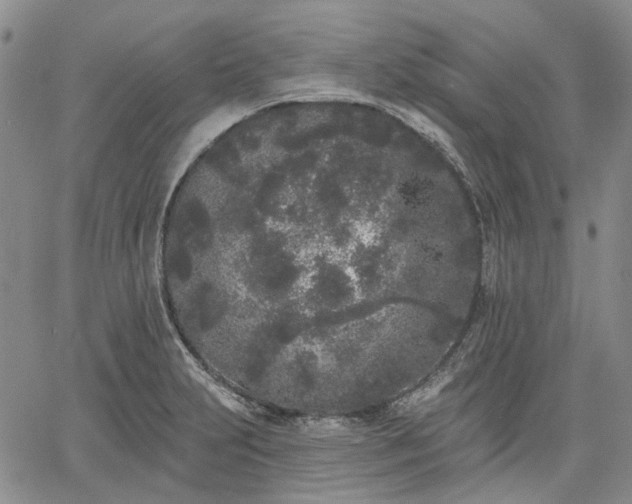 X0000061731231200512091537