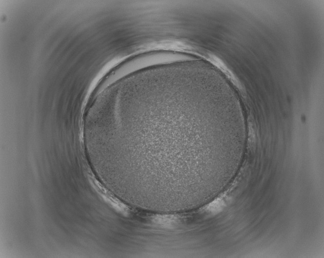 X0000061731232200512091537