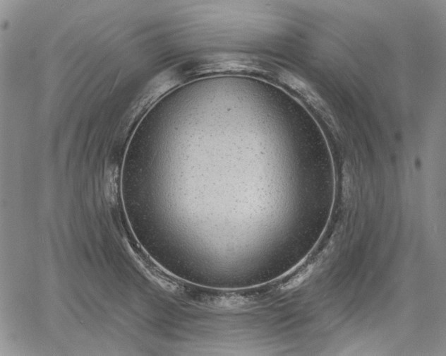 X0000061731233200512091537